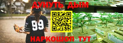сатива Коммунар