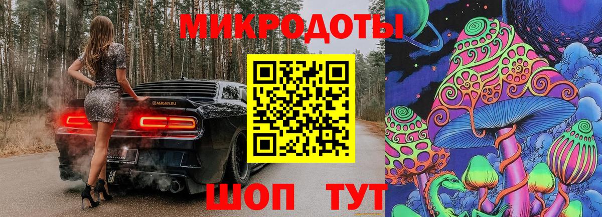 Галлюциногенные грибы Psilocybe Ухта