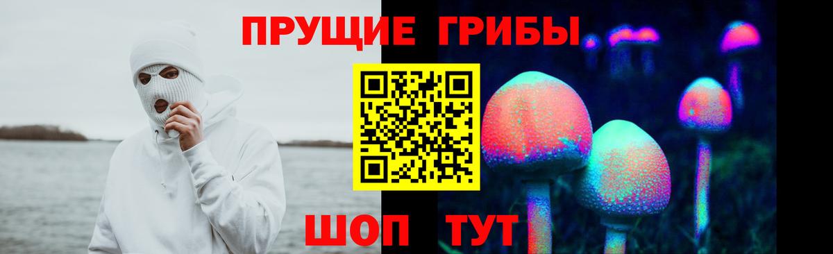 Ухта  Галлюциногенные грибы Cubensis  Вход с VPN 