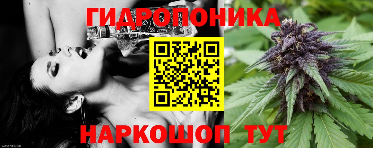 Конопля Bruce Banner Ухта